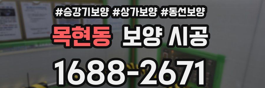 목현동 보양 시공
