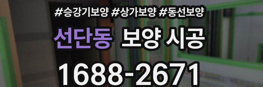 선단동 보양 시공