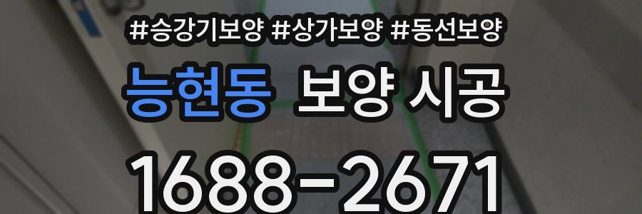 능현동 보양 시공