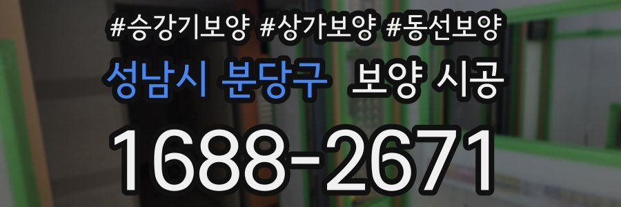 성남시 분당구 보양 시공