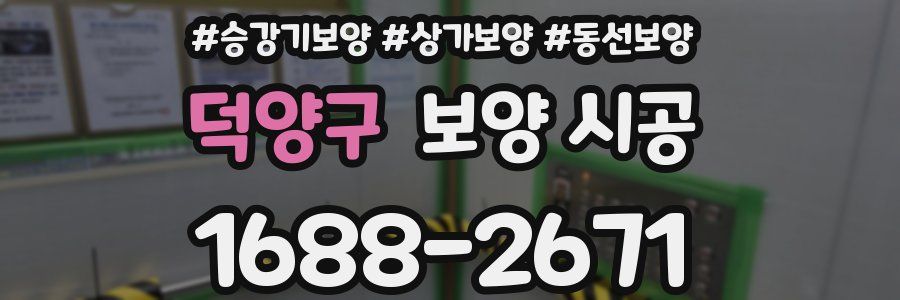 덕양구 보양 시공