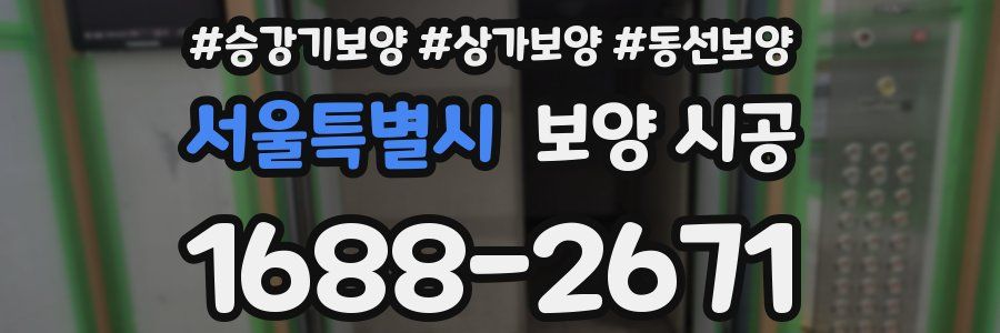 서울특별시 보양 시공