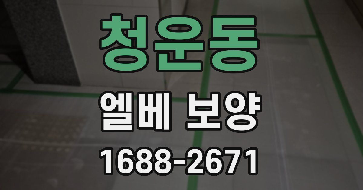 청운동 엘베 보양