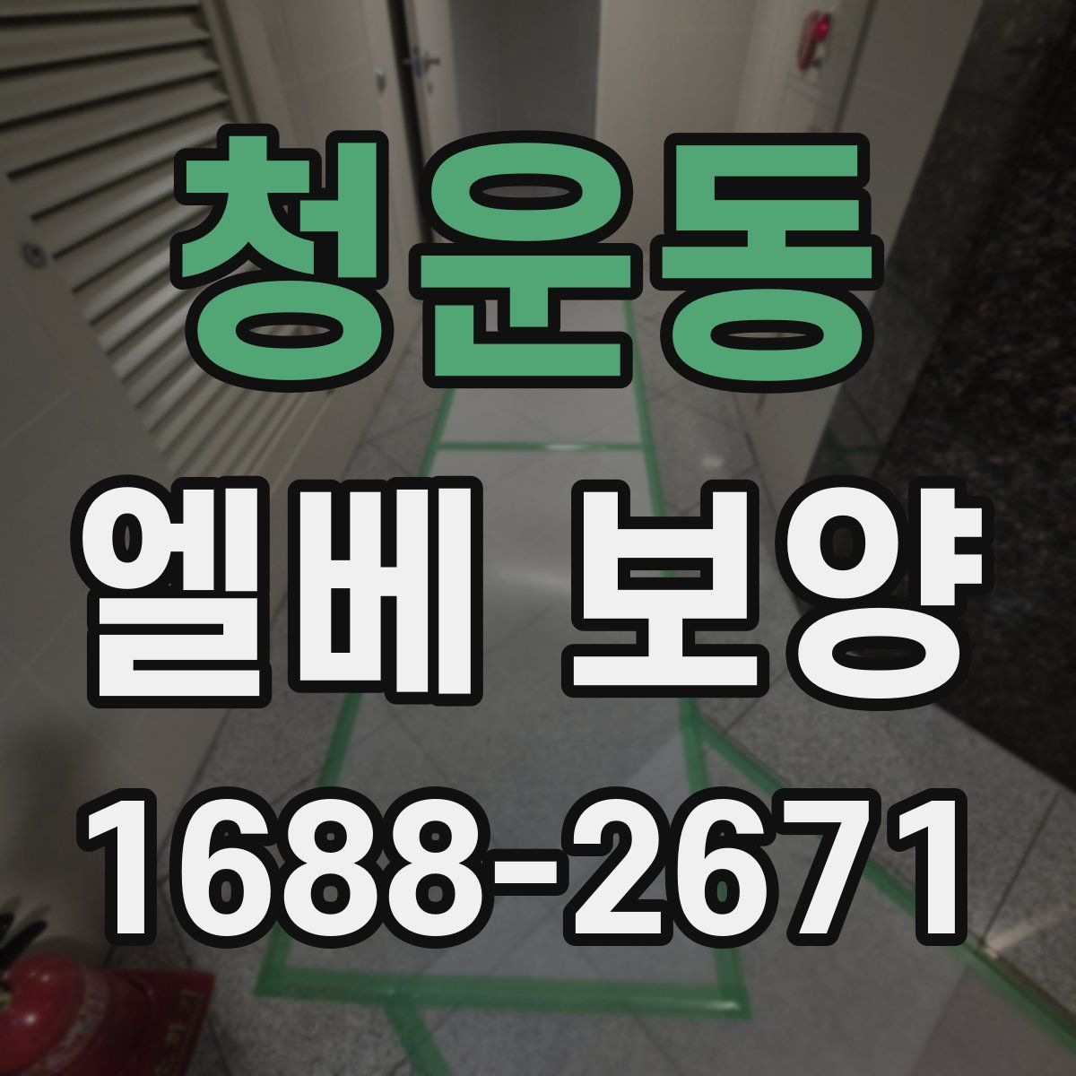 청운동 엘베 보양