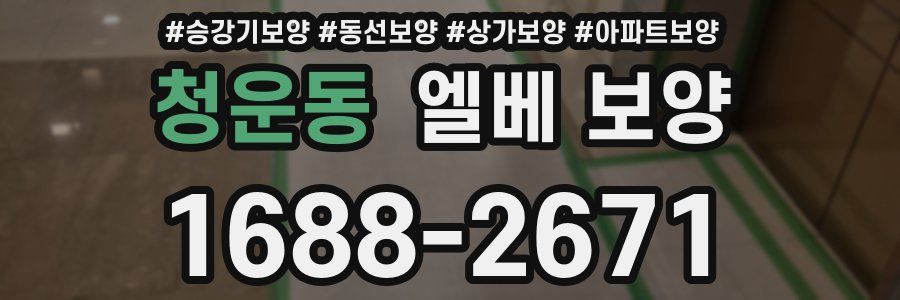 청운동 엘베 보양