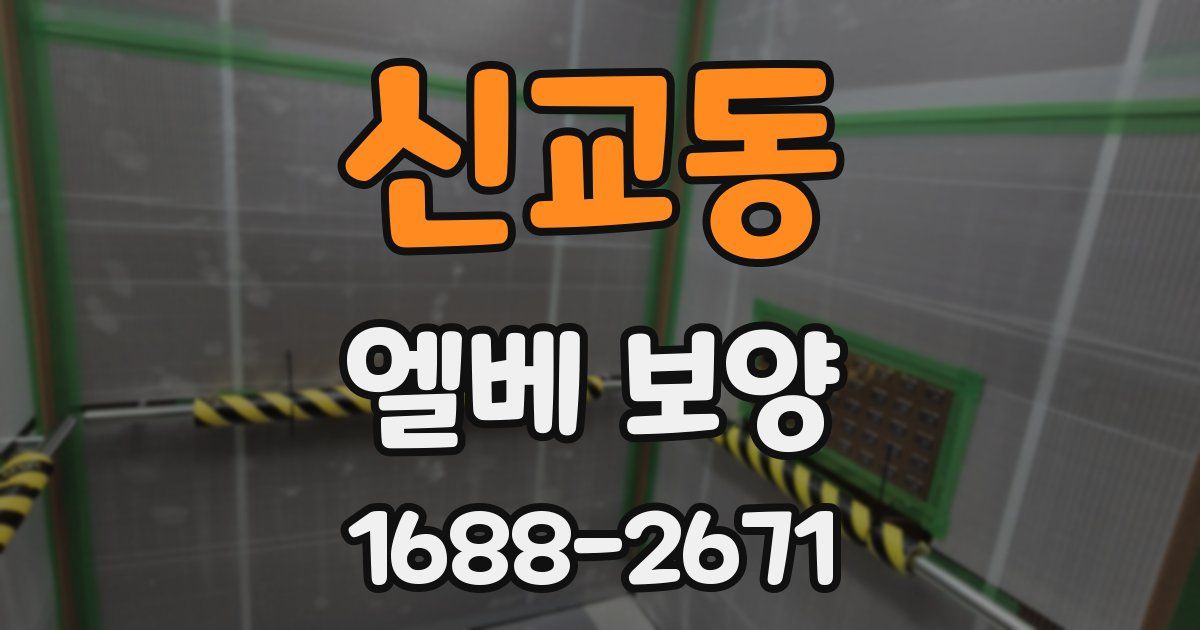 신교동 엘베 보양