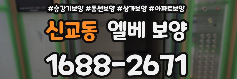 신교동 엘베 보양