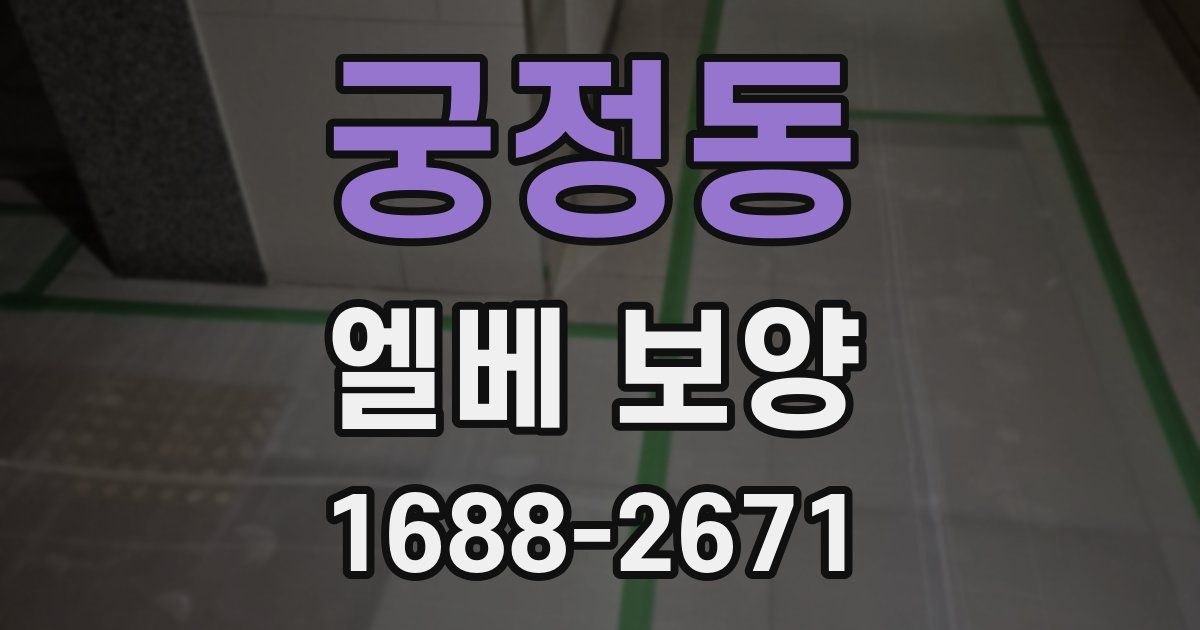궁정동 엘베 보양
