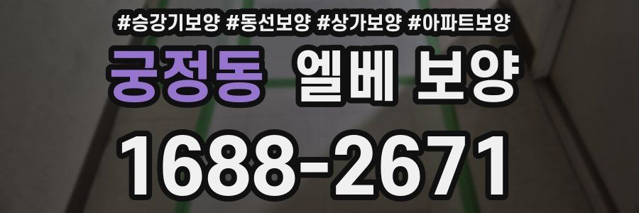 궁정동 엘베 보양