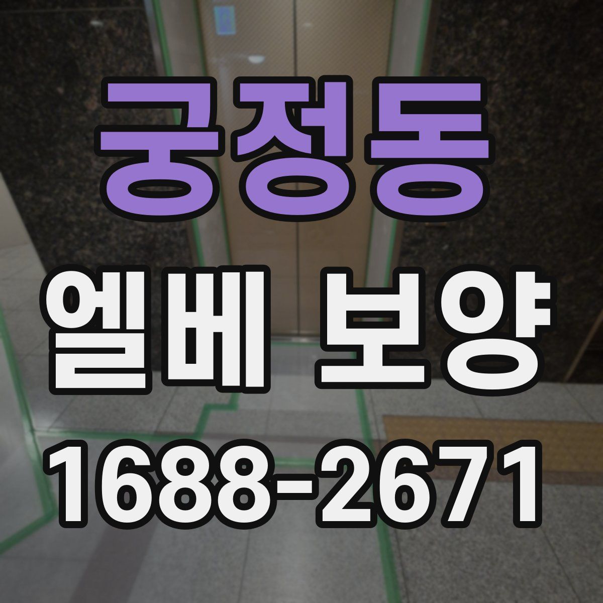 궁정동 엘베 보양