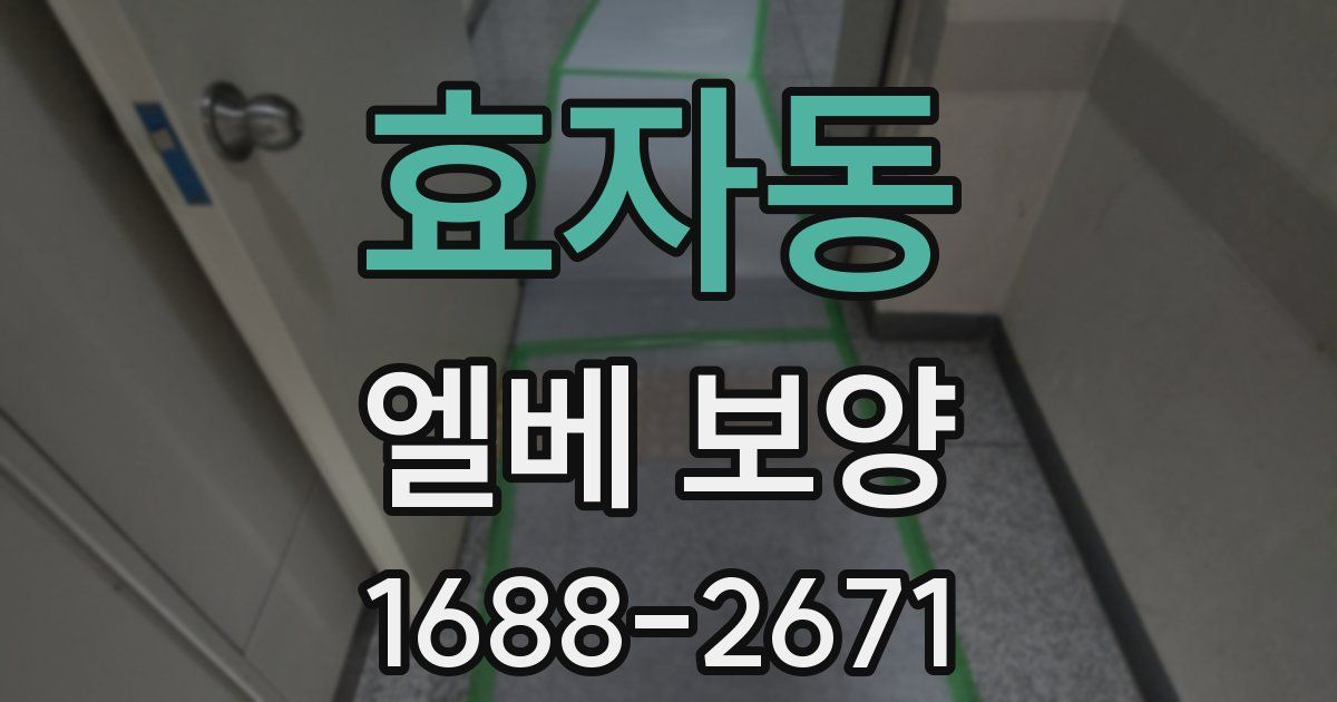 효자동 엘베 보양