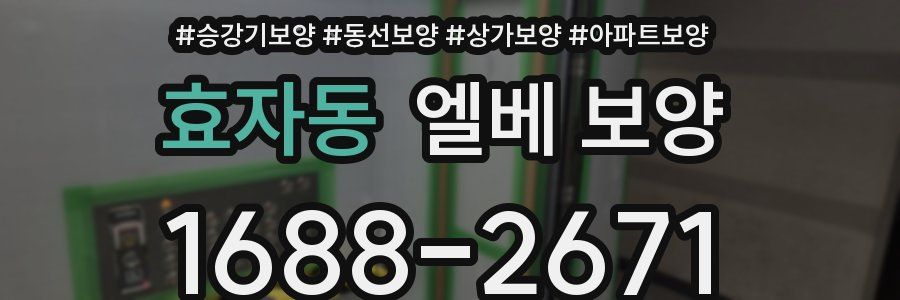 효자동 엘베 보양