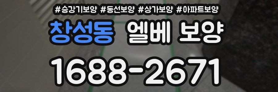 창성동 엘베 보양