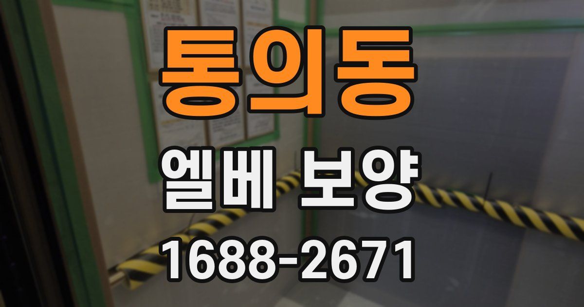 통의동 엘베 보양