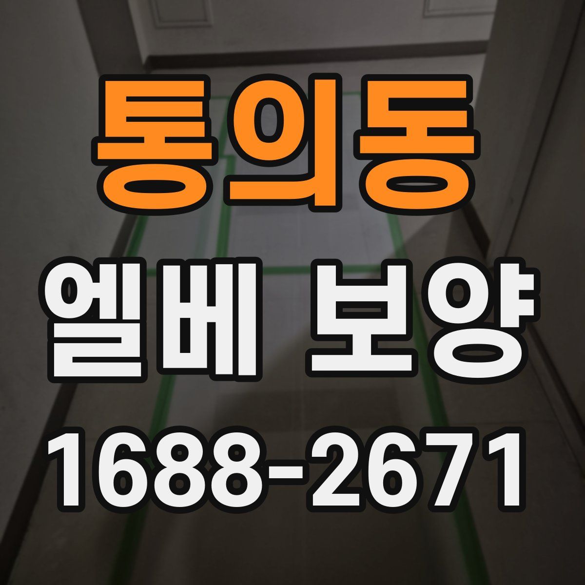 통의동 엘베 보양
