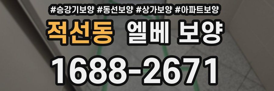 적선동 엘베 보양