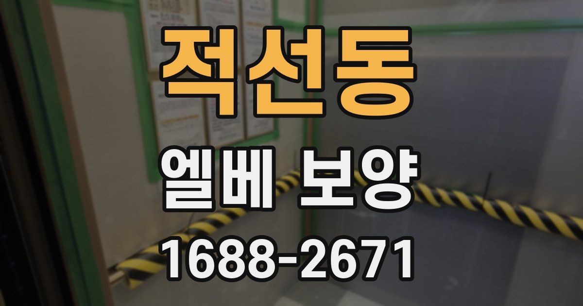 적선동 엘베 보양