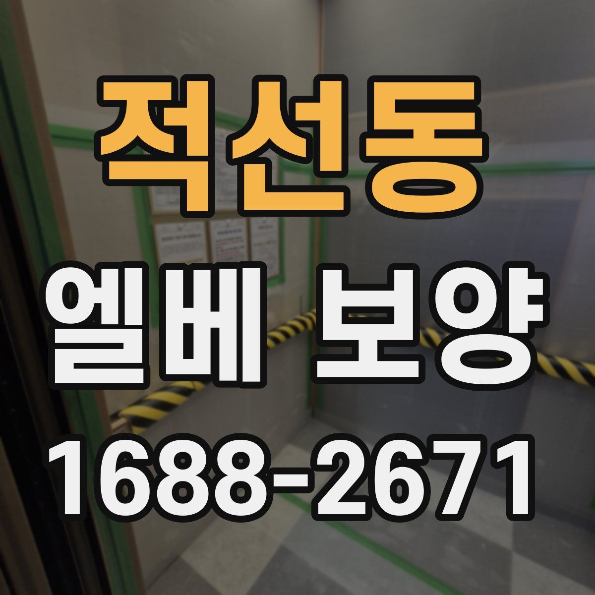 적선동 엘베 보양
