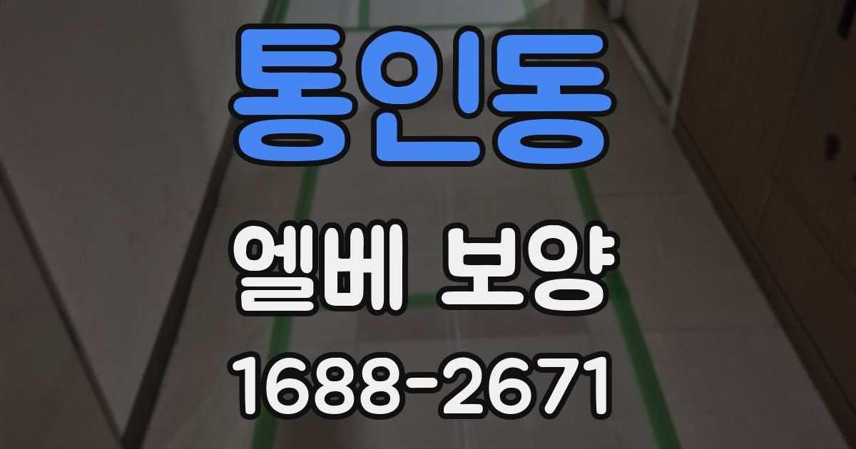 통인동 엘베 보양