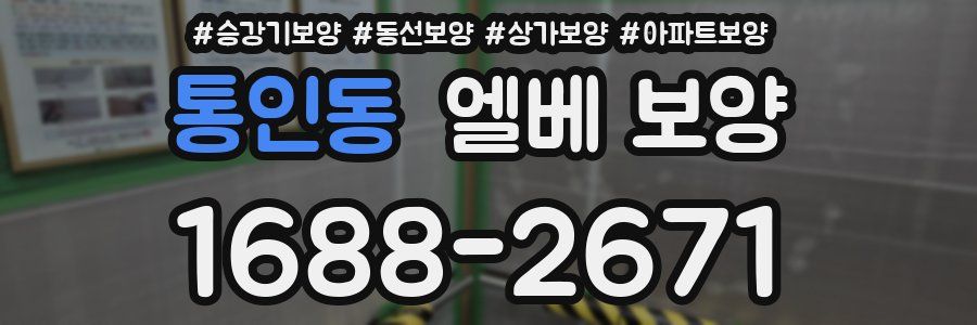통인동 엘베 보양