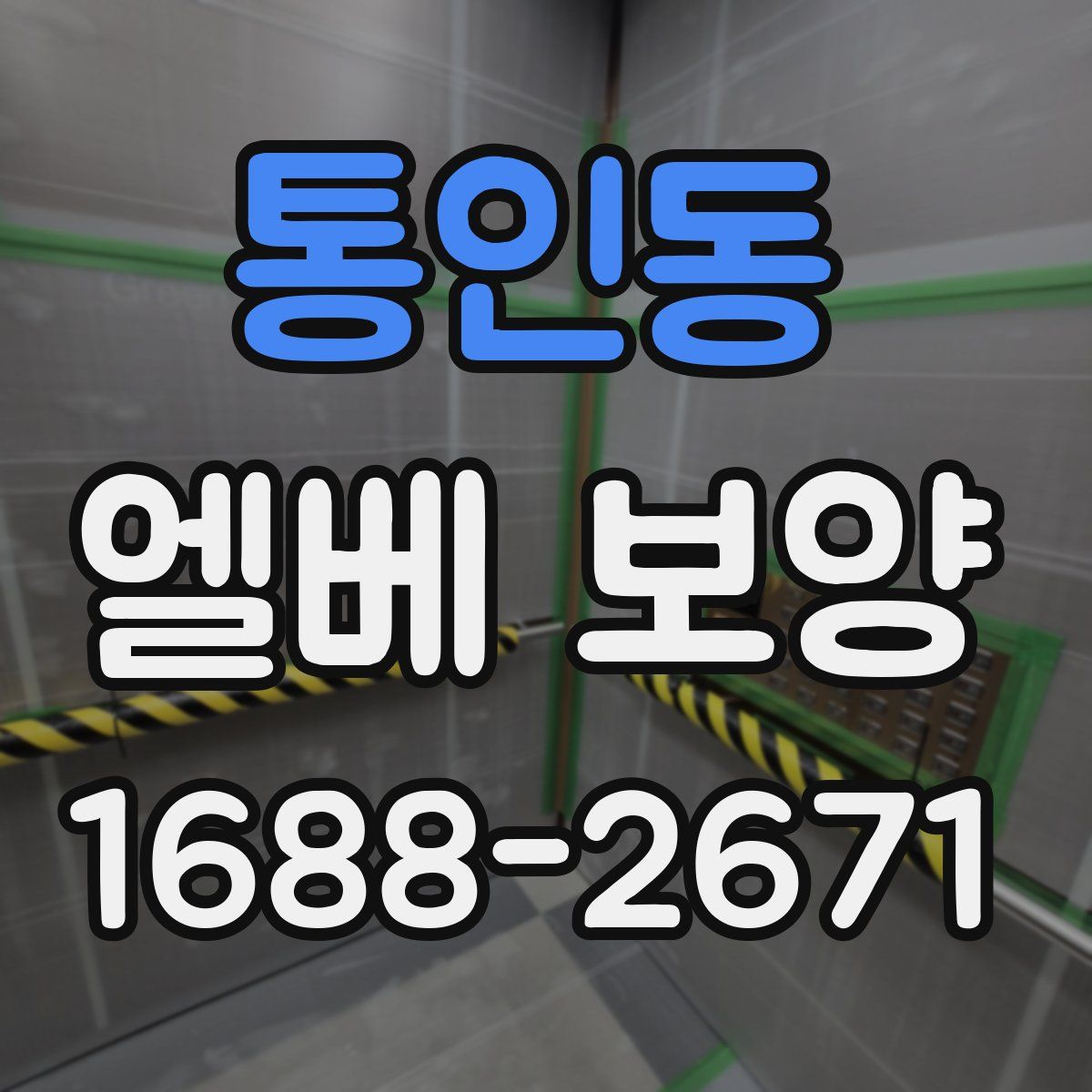 통인동 엘베 보양