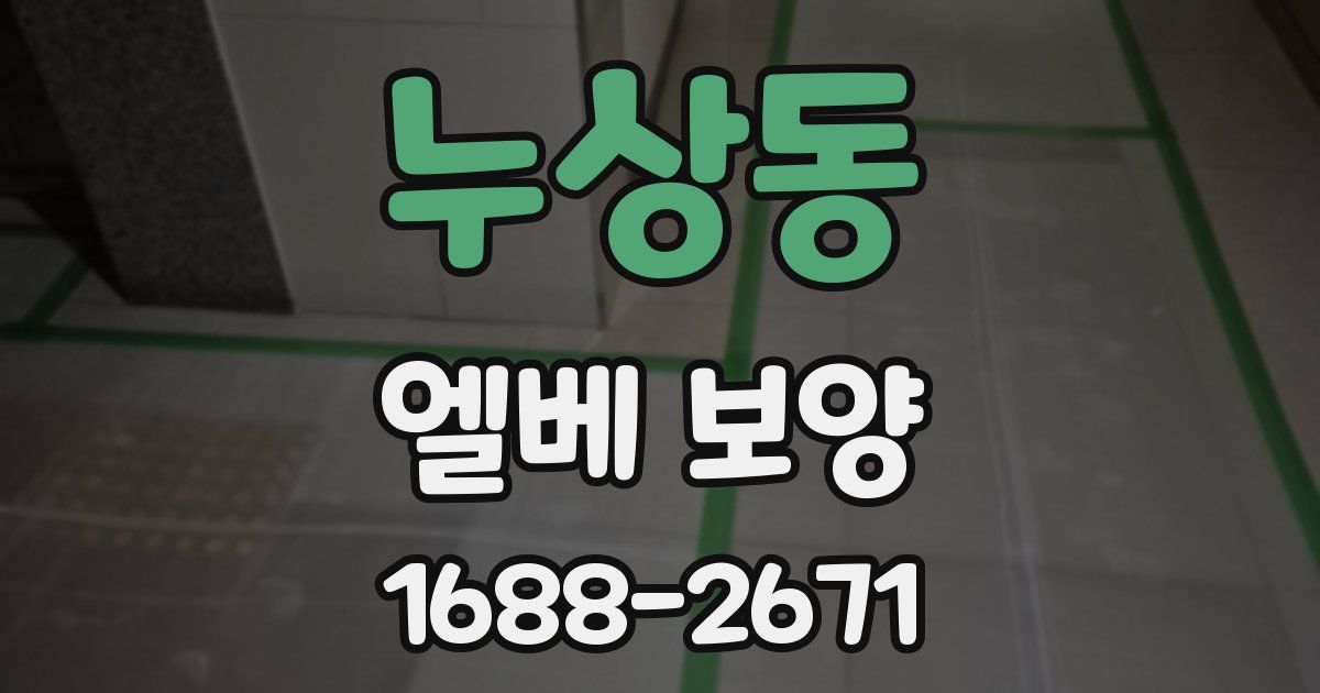 누상동 엘베 보양