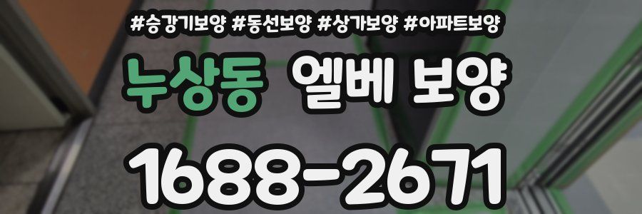 누상동 엘베 보양