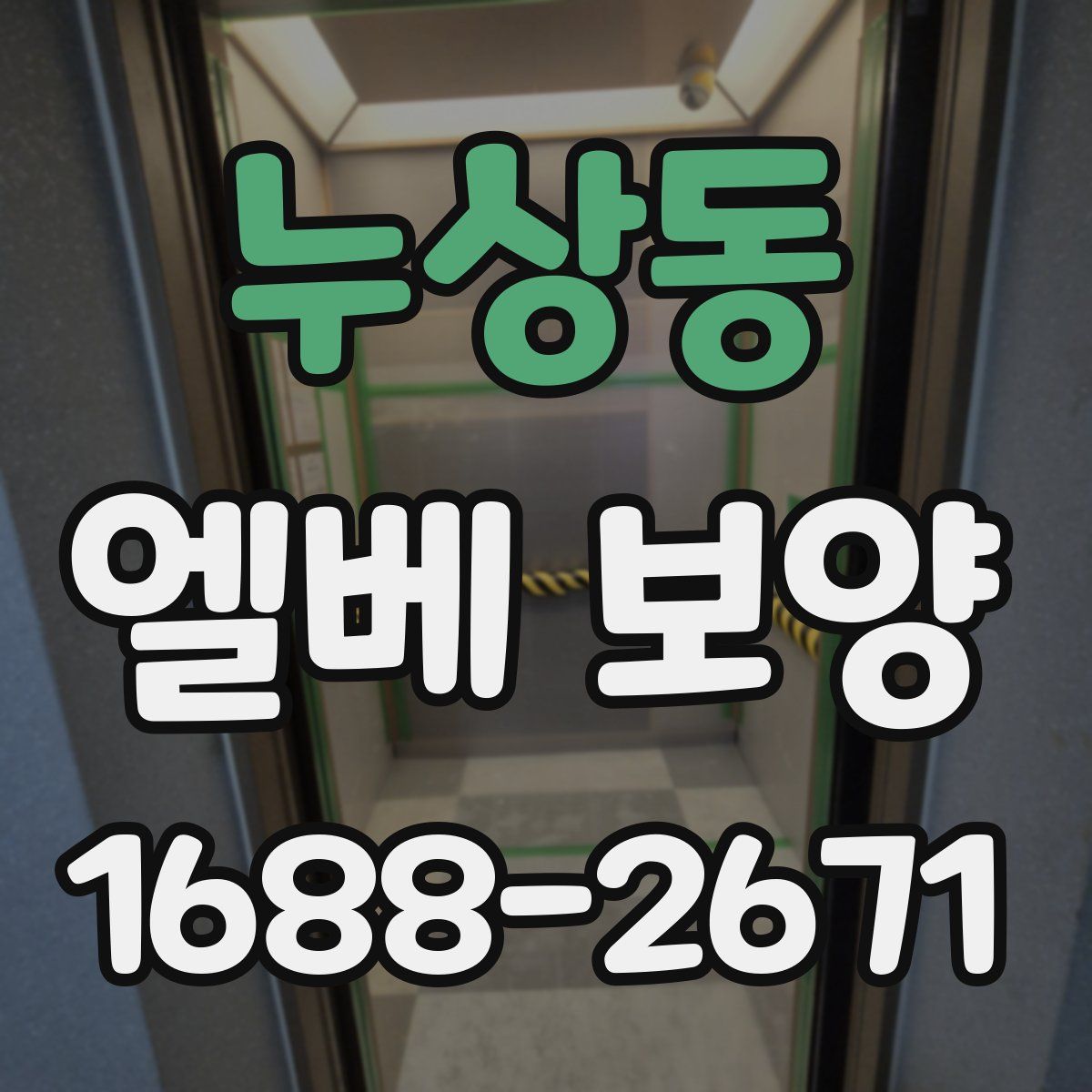 누상동 엘베 보양