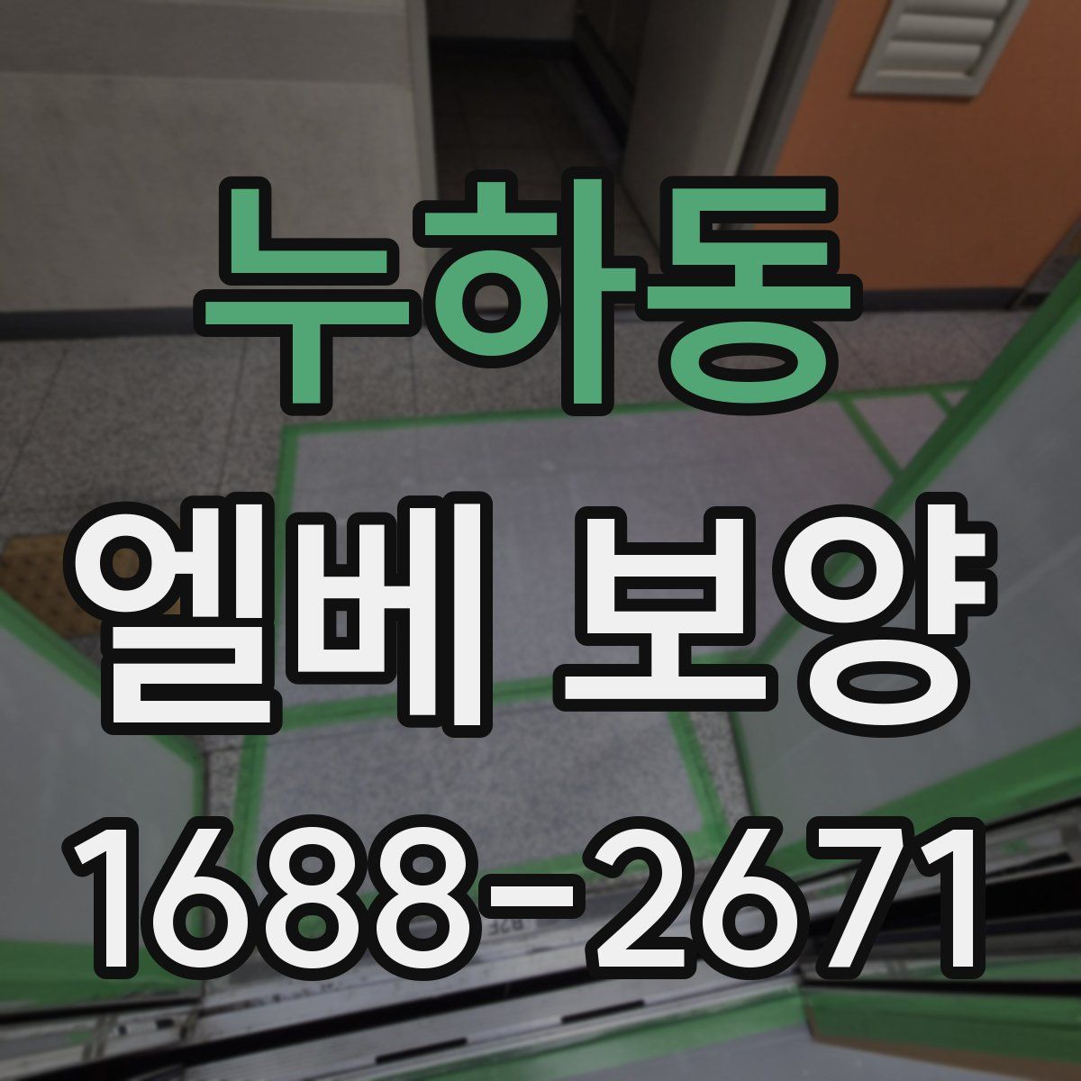 누하동 엘베 보양