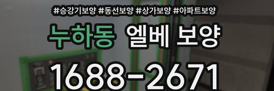 누하동 엘베 보양