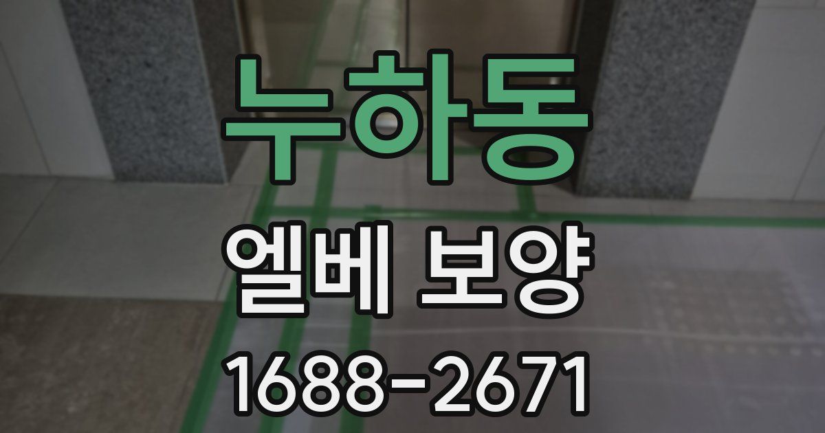 누하동 엘베 보양