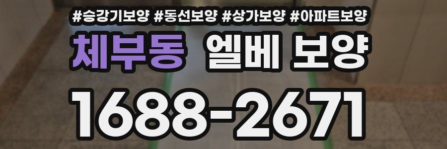 체부동 엘베 보양