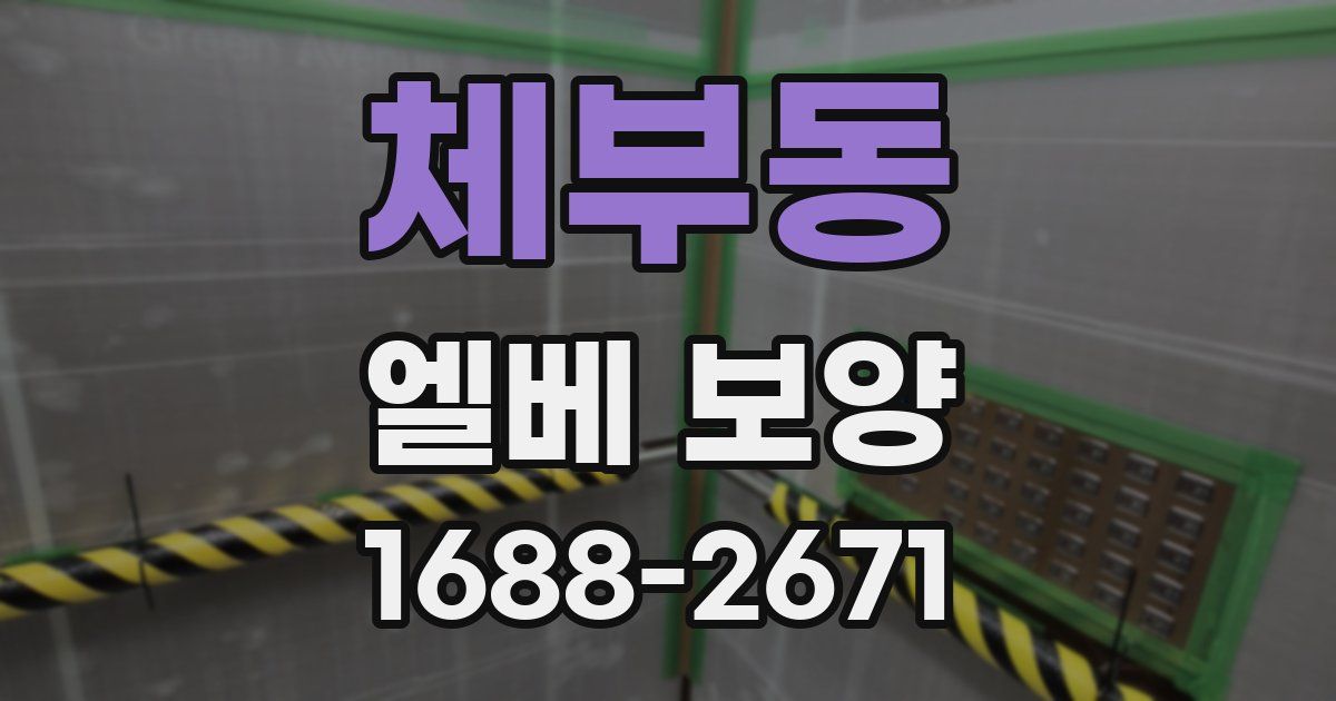 체부동 엘베 보양