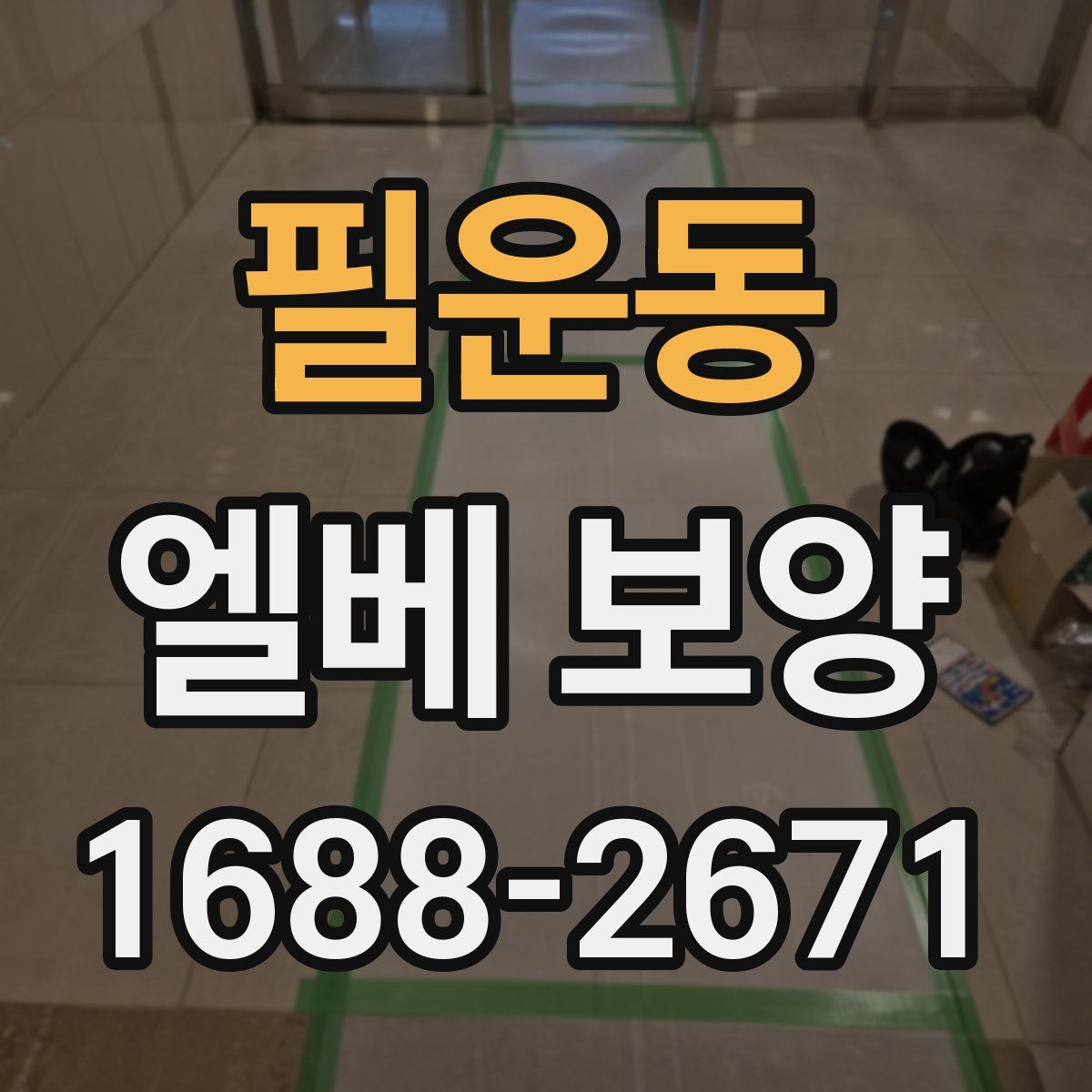 필운동 엘베 보양