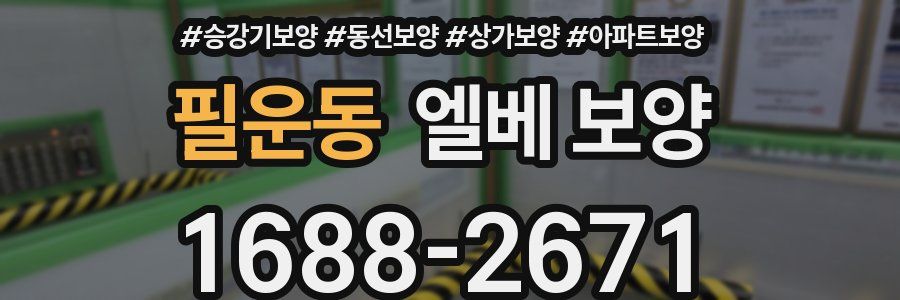 필운동 엘베 보양