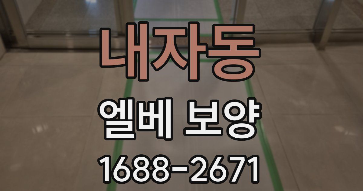 내자동 엘베 보양