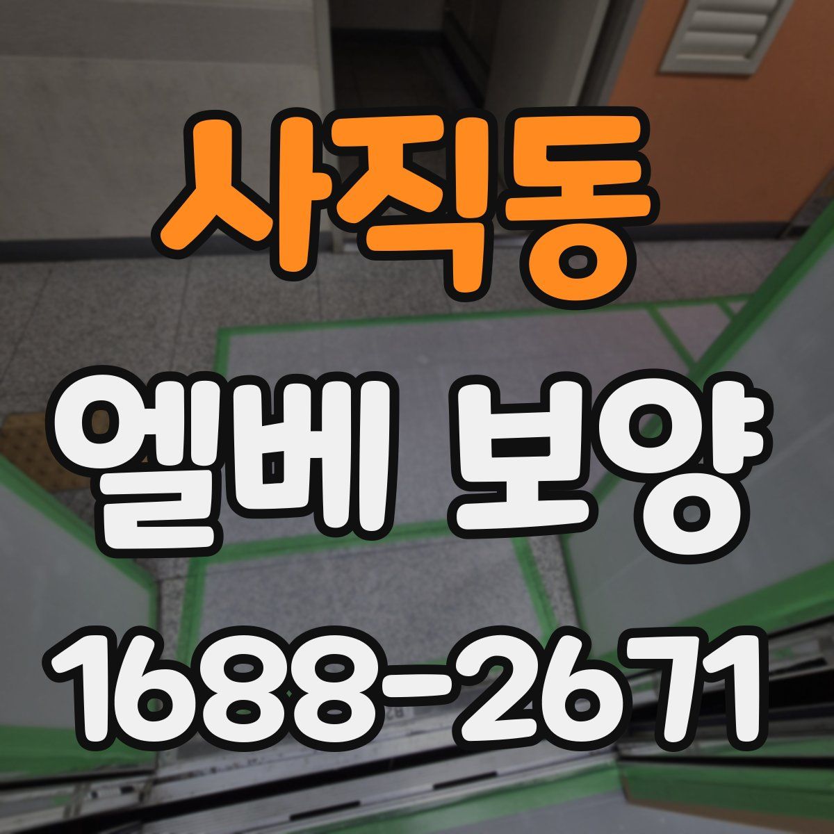 사직동 엘베 보양