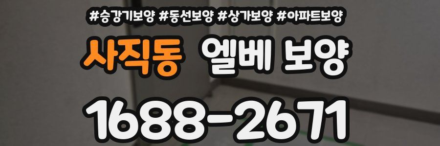 사직동 엘베 보양