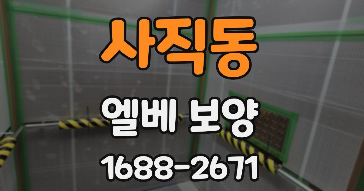 사직동 엘베 보양
