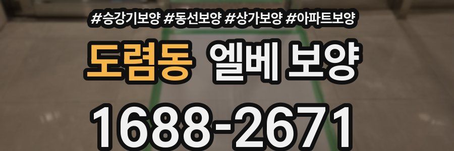도렴동 엘베 보양