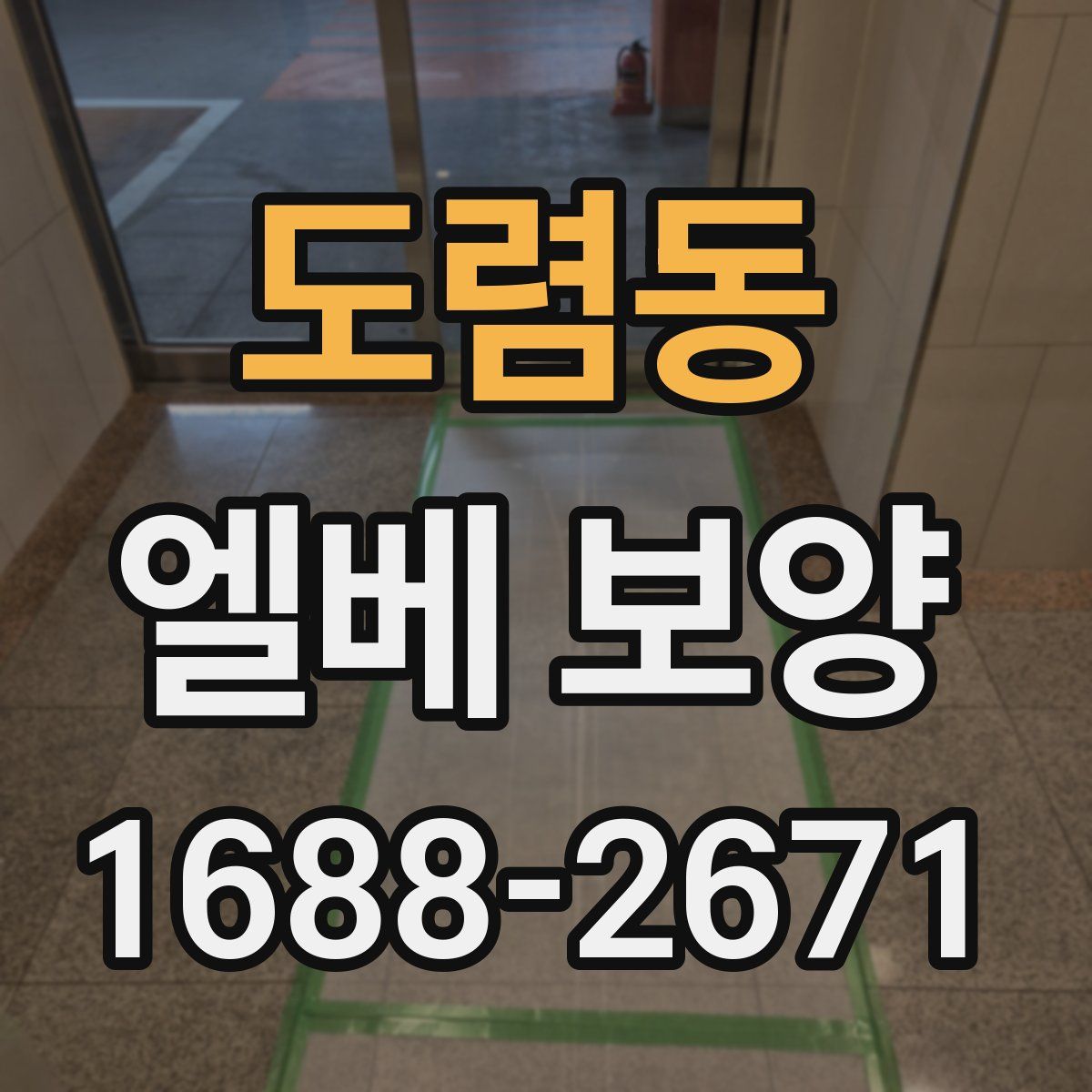 도렴동 엘베 보양