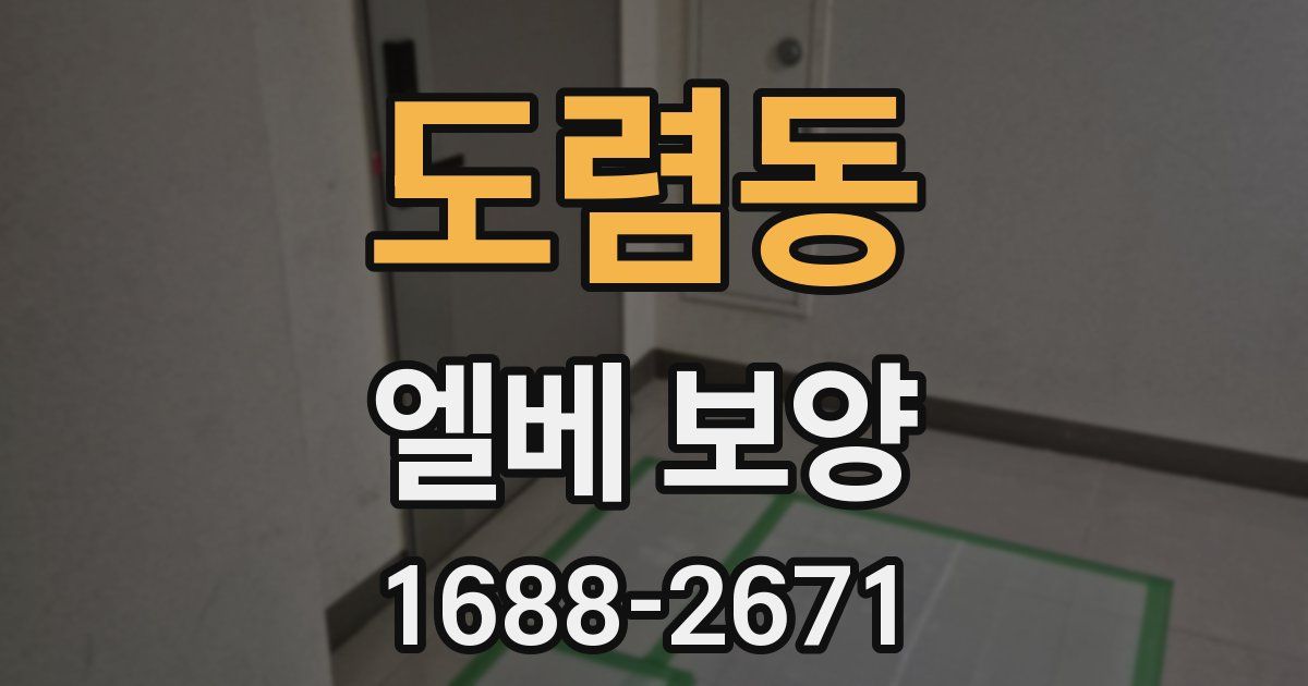 도렴동 엘베 보양