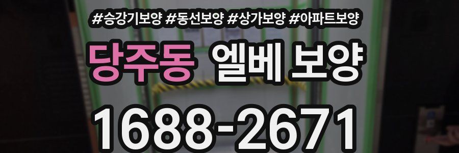 당주동 엘베 보양