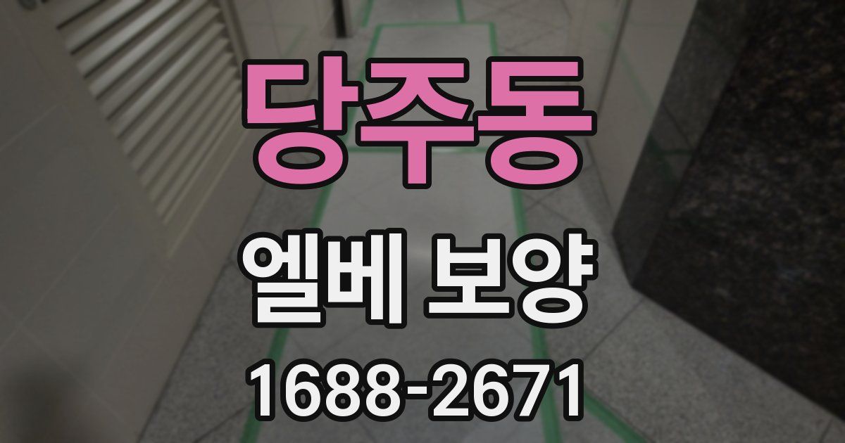 당주동 엘베 보양