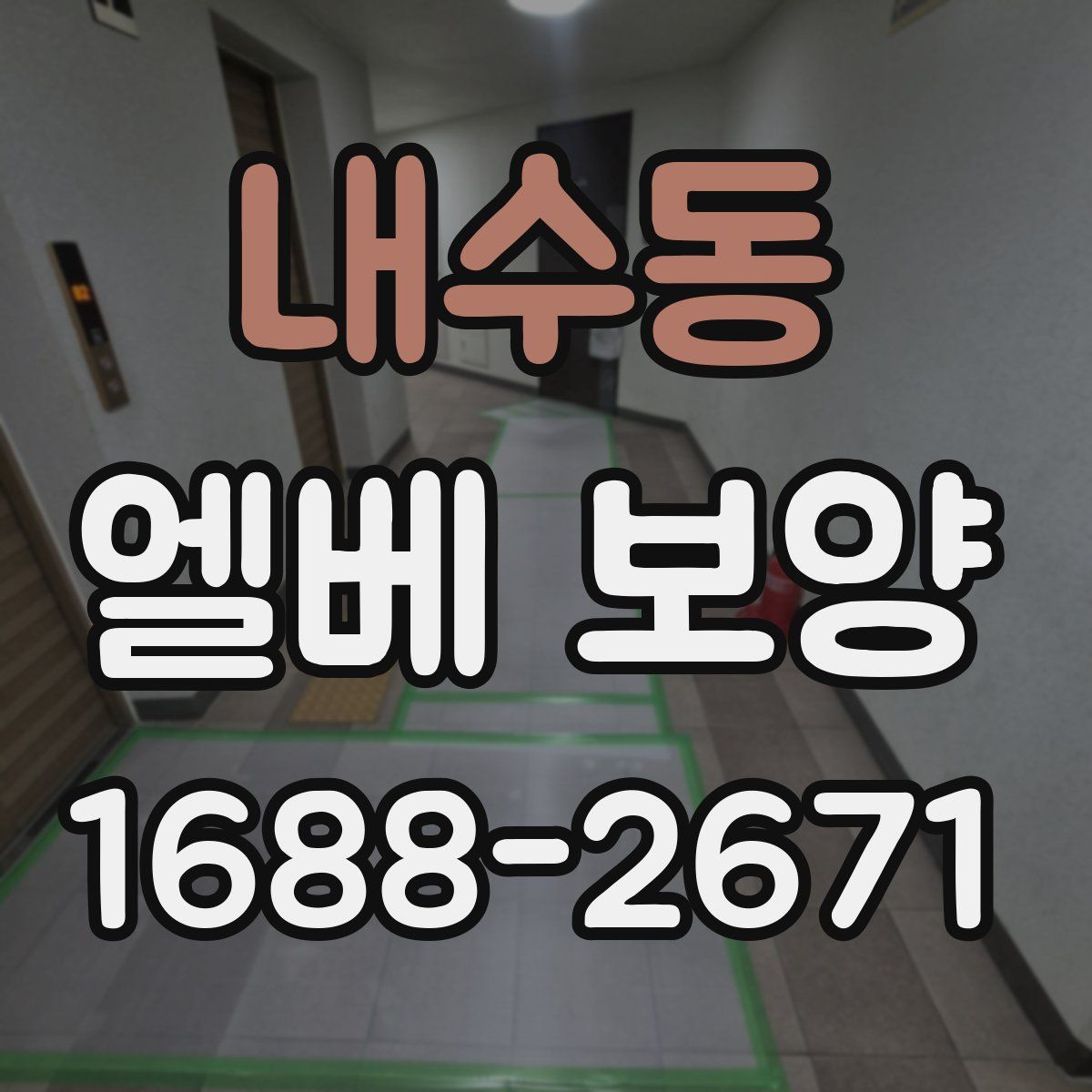 내수동 엘베 보양