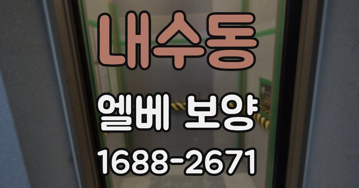 내수동 엘베 보양
