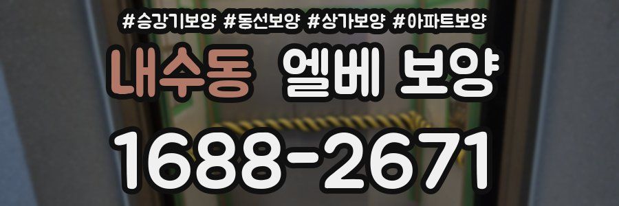 내수동 엘베 보양