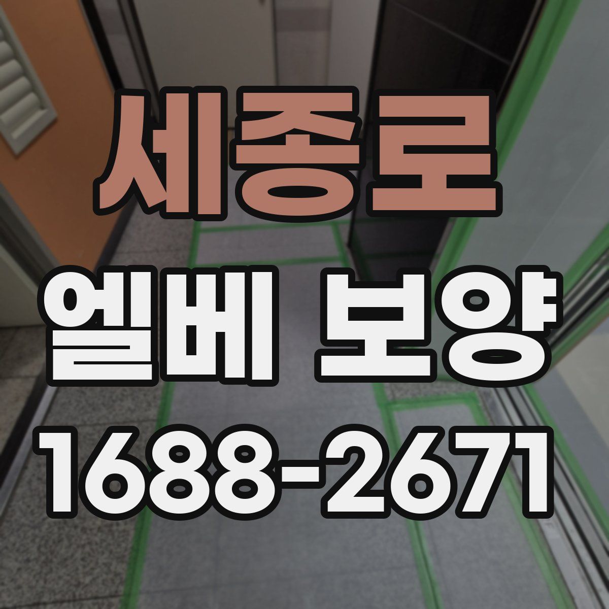 세종로 엘베 보양