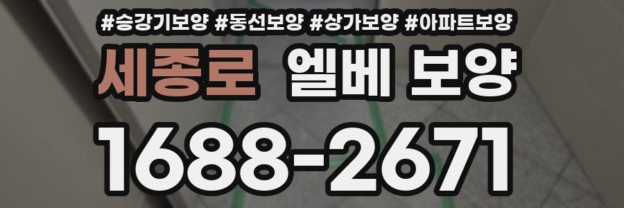 세종로 엘베 보양
