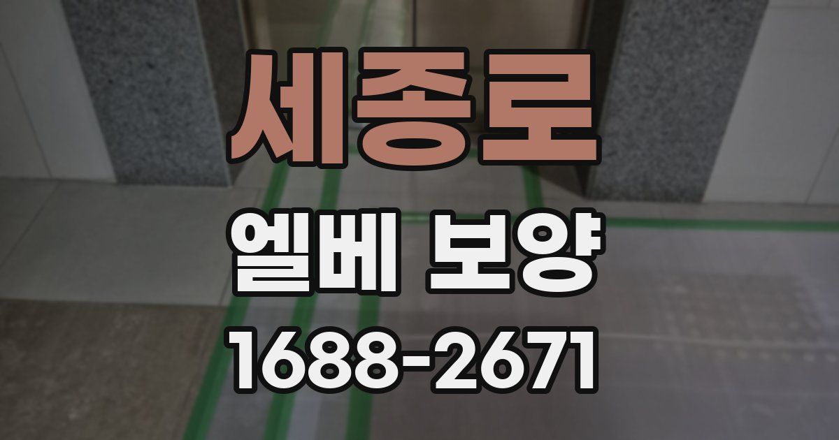 세종로 엘베 보양